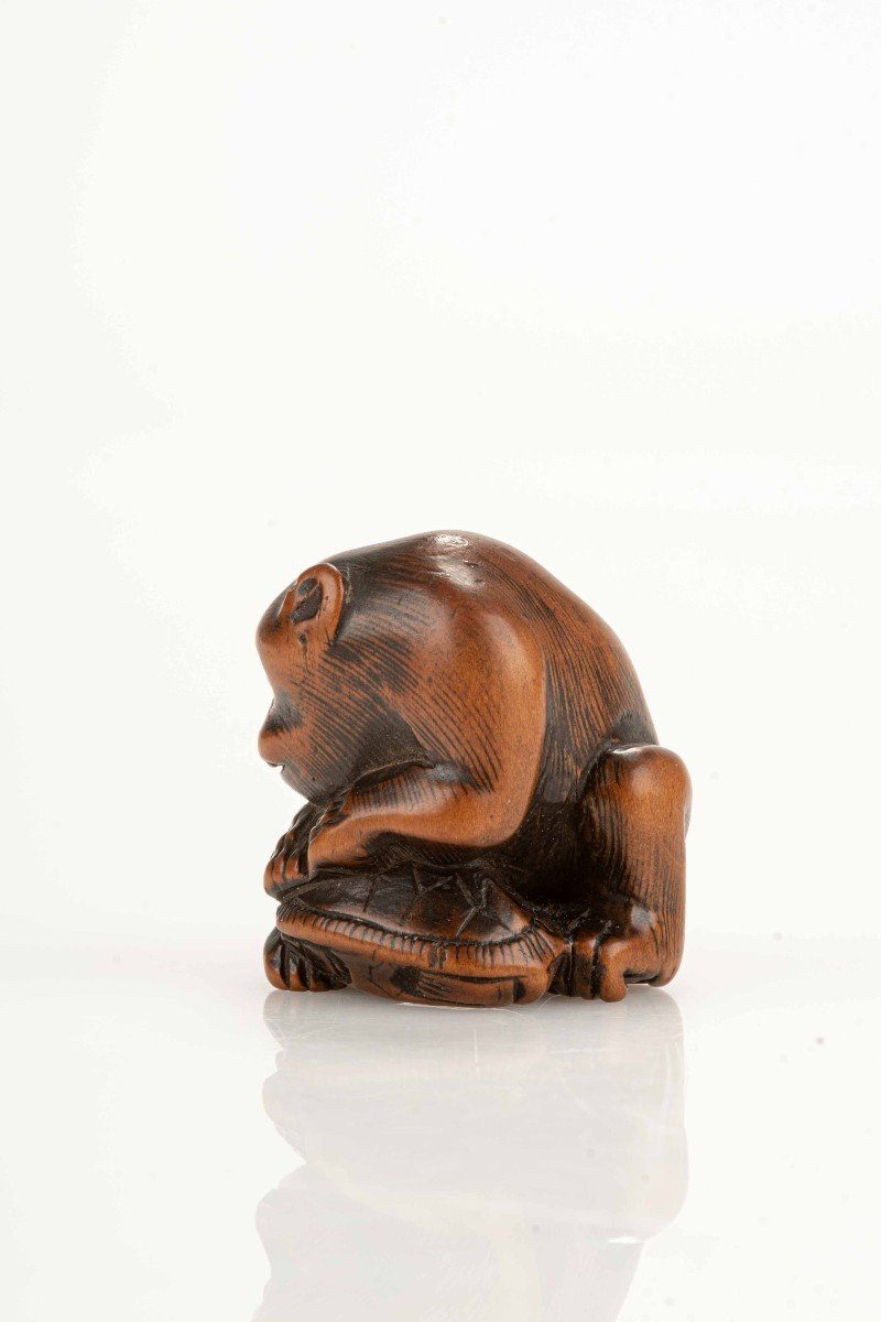 Netsuke giapponese raffigurante una scimmia con una tartaruga-photo-3