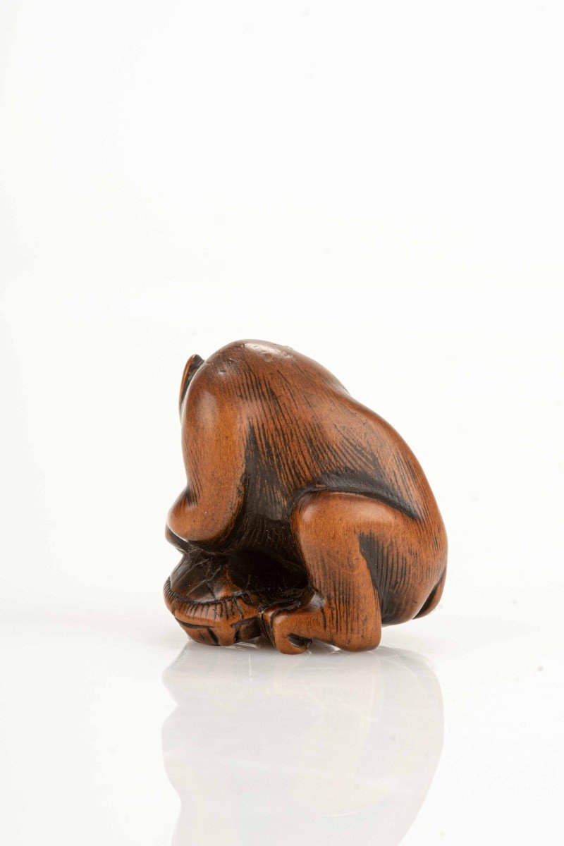 Netsuke giapponese raffigurante una scimmia con una tartaruga-photo-4