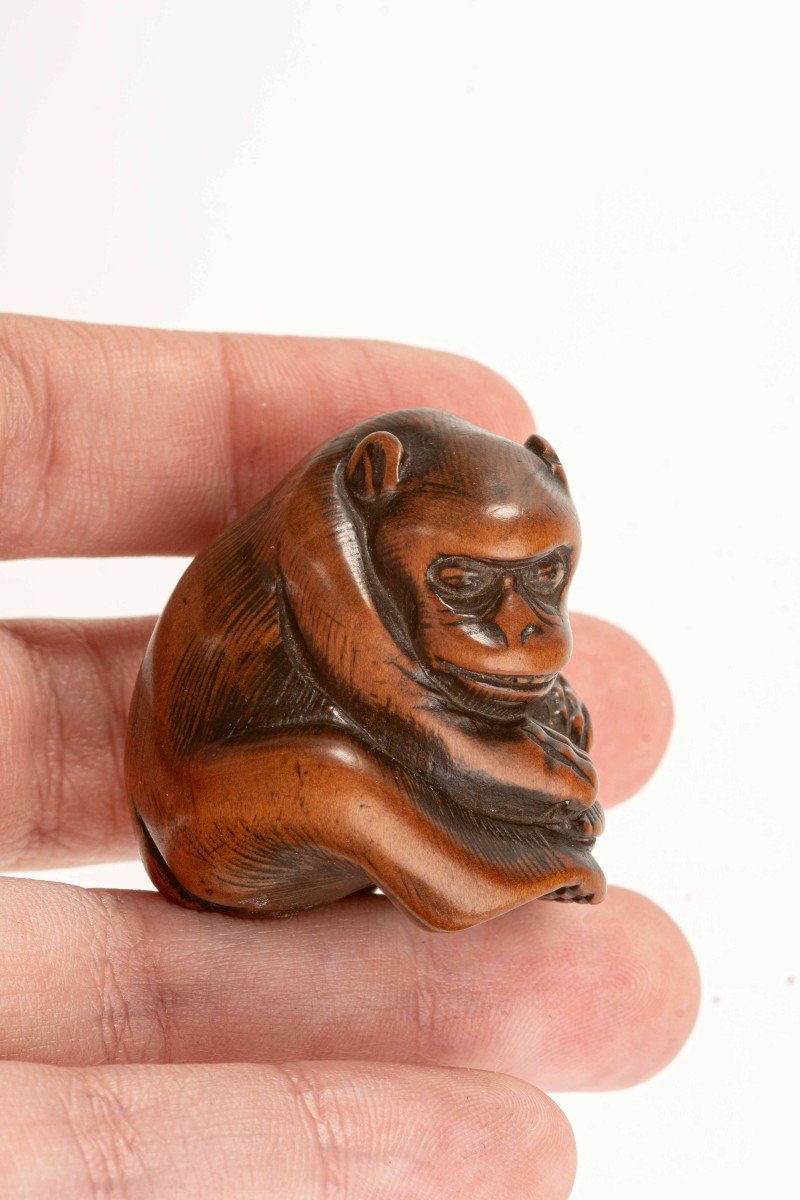 Netsuke giapponese raffigurante una scimmia con una tartaruga-photo-3