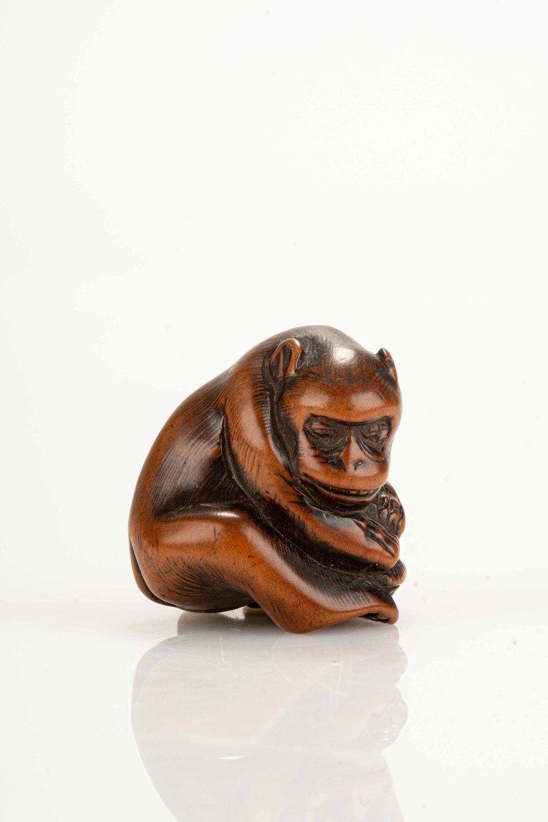 Netsuke giapponese raffigurante una scimmia con una tartaruga