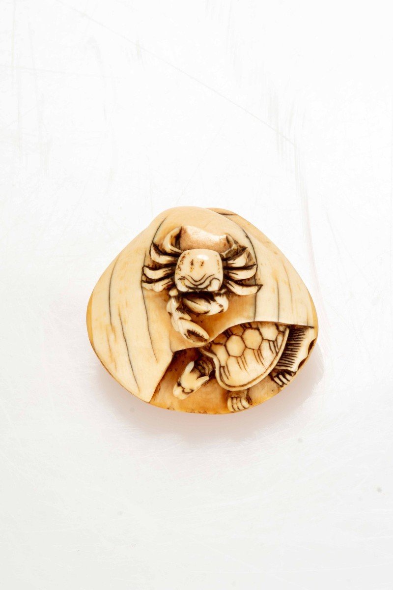 Netsuke in avorio raffigurante una conchiglia con un granchio e una tartaruga -photo-2