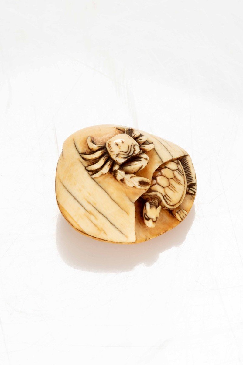 Netsuke in avorio raffigurante una conchiglia con un granchio e una tartaruga -photo-3