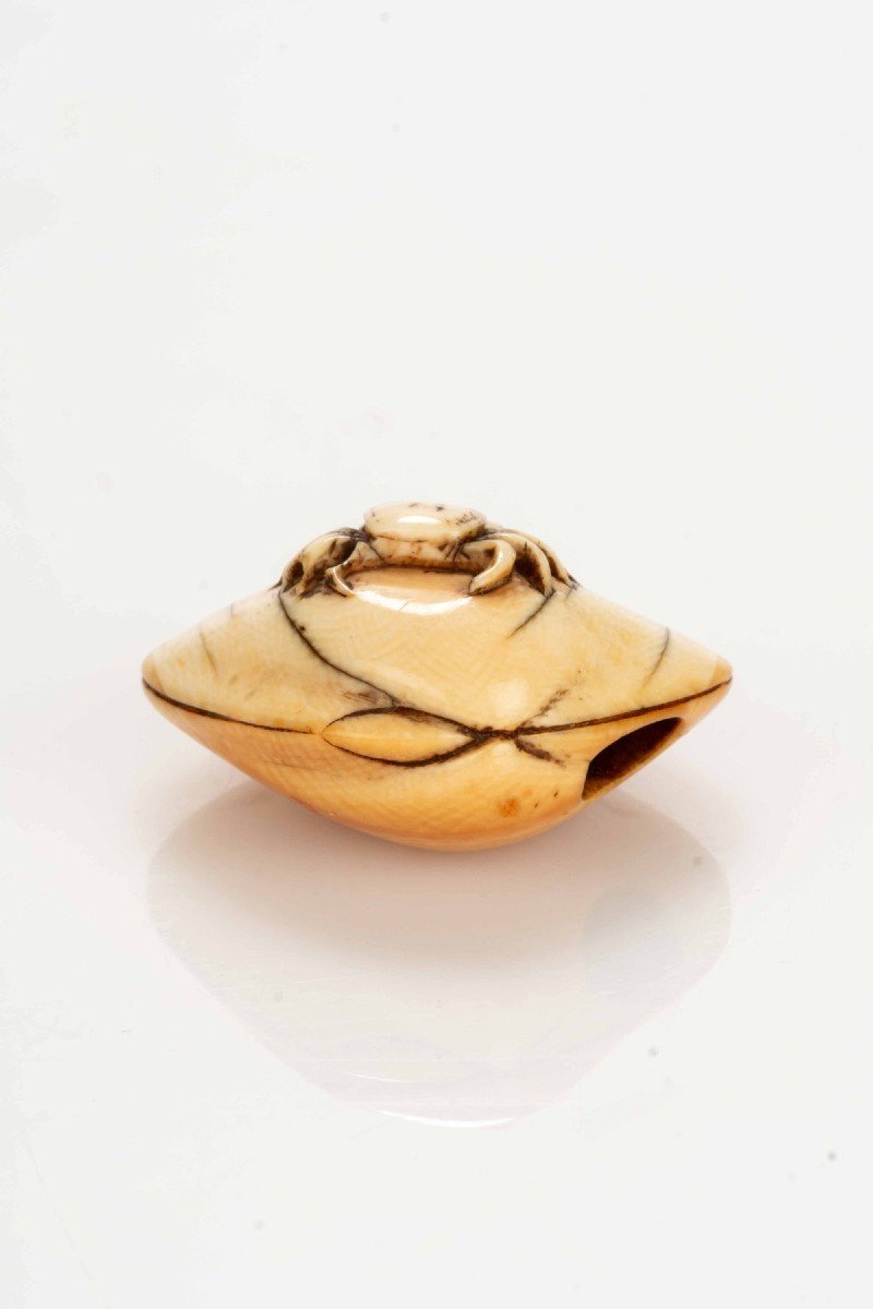 Netsuke in avorio raffigurante una conchiglia con un granchio e una tartaruga -photo-4