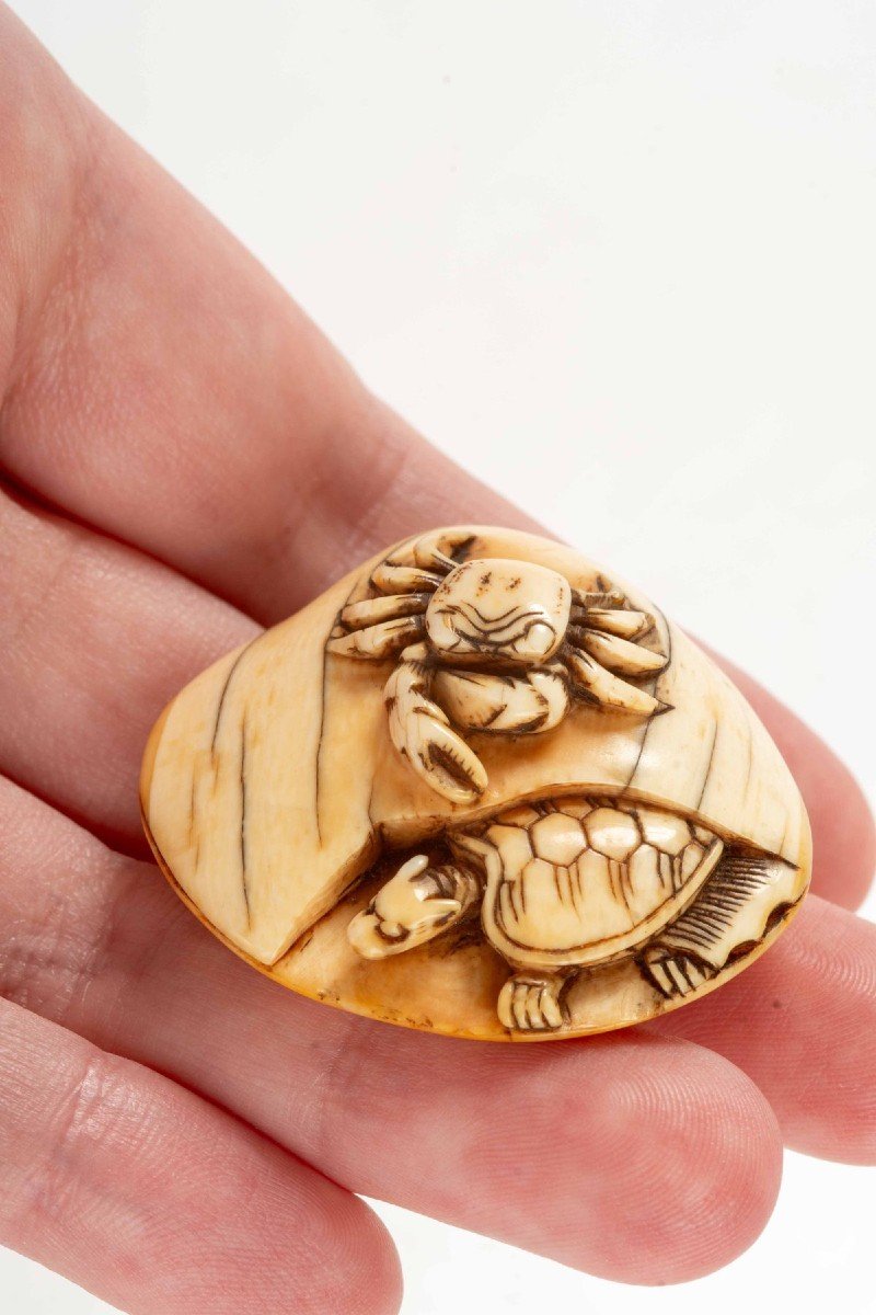 Netsuke in avorio raffigurante una conchiglia con un granchio e una tartaruga -photo-2