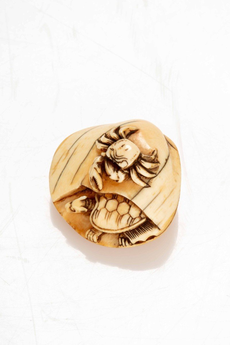 Netsuke in avorio raffigurante una conchiglia con un granchio e una tartaruga 