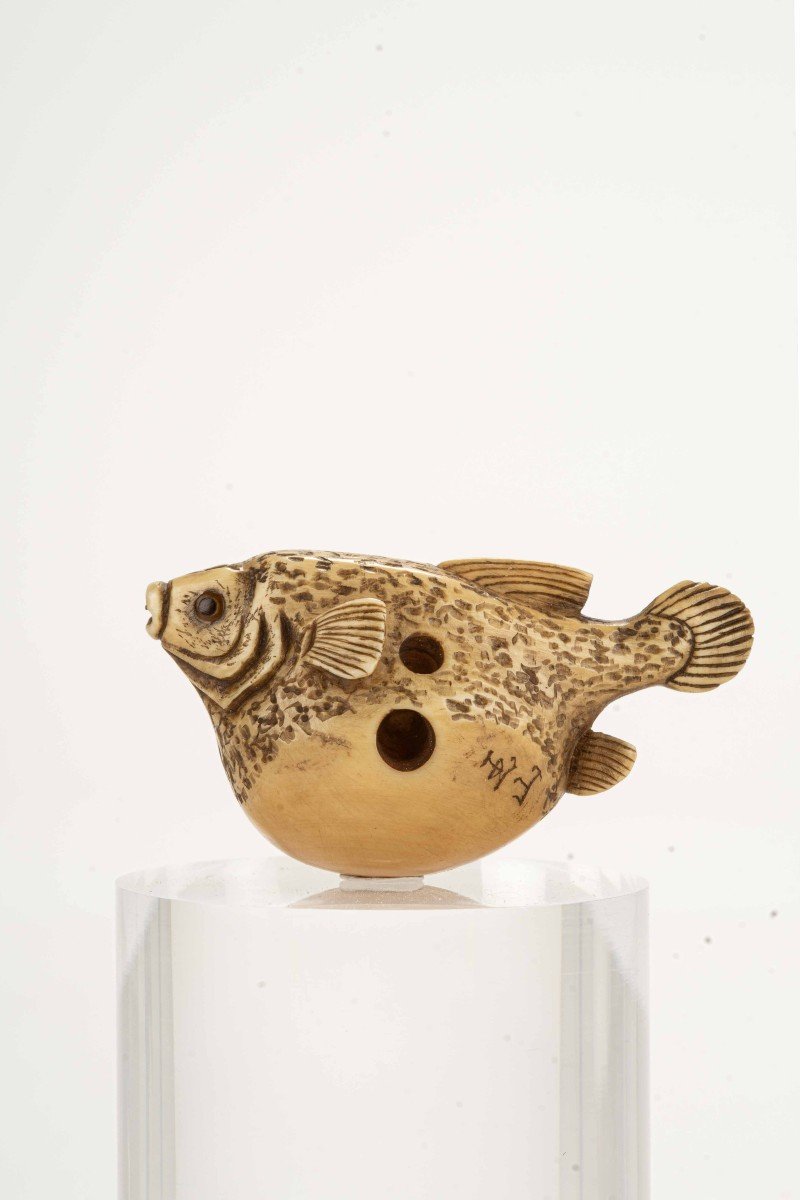 Netsuke in avorio raffigurante un pesce palla, firmato Gyokuzan-photo-2