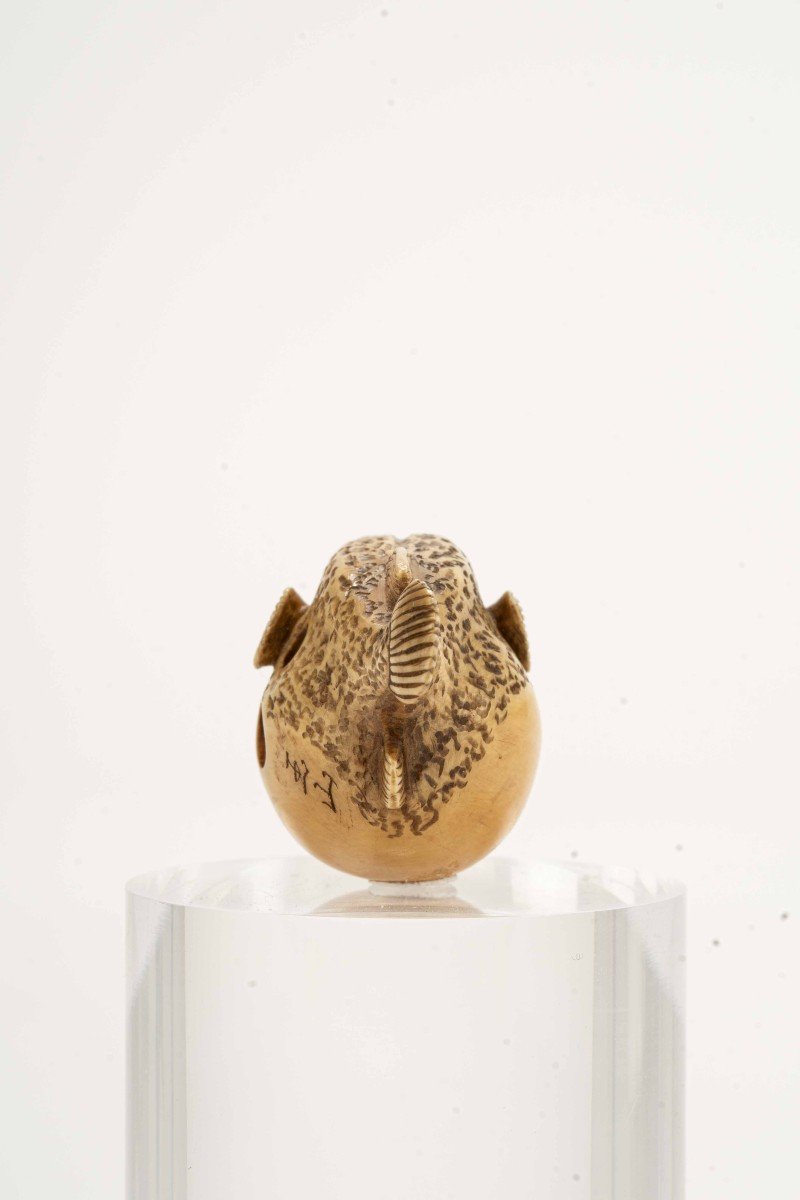 Netsuke in avorio raffigurante un pesce palla, firmato Gyokuzan-photo-3