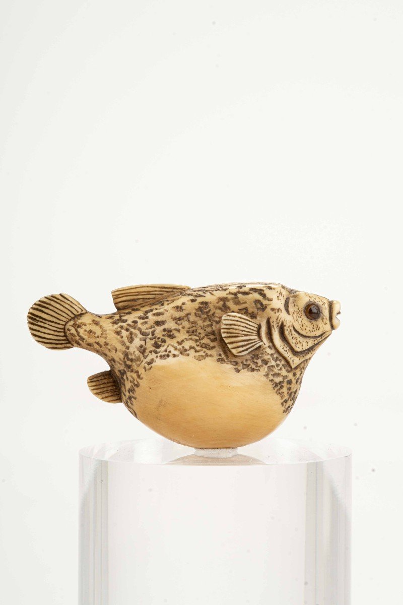 Netsuke in avorio raffigurante un pesce palla, firmato Gyokuzan-photo-4