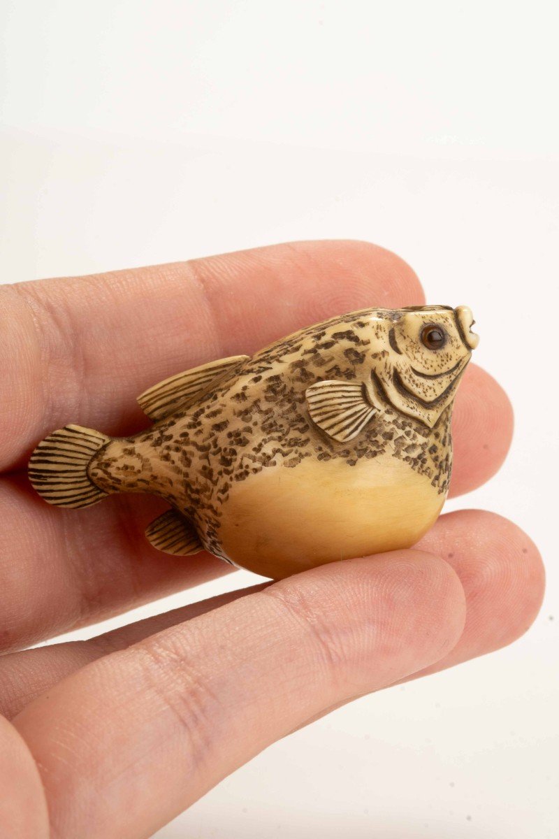 Netsuke in avorio raffigurante un pesce palla, firmato Gyokuzan-photo-2