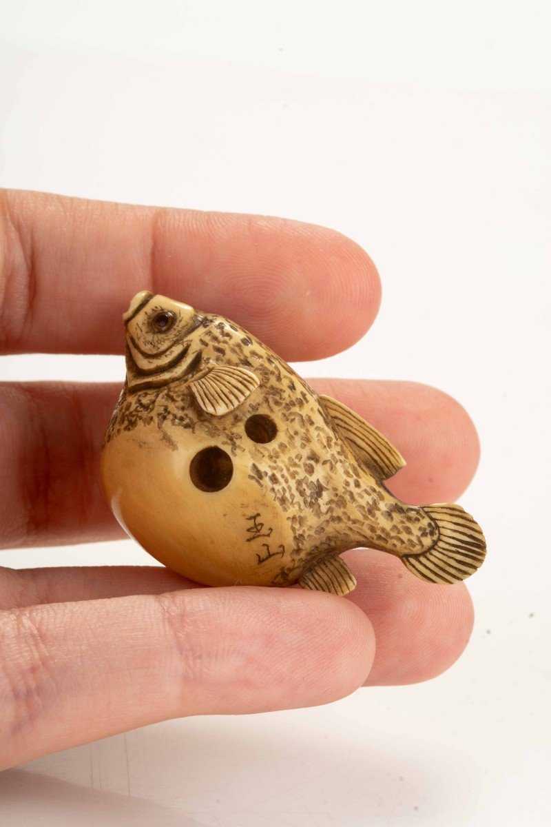 Netsuke in avorio raffigurante un pesce palla, firmato Gyokuzan-photo-3