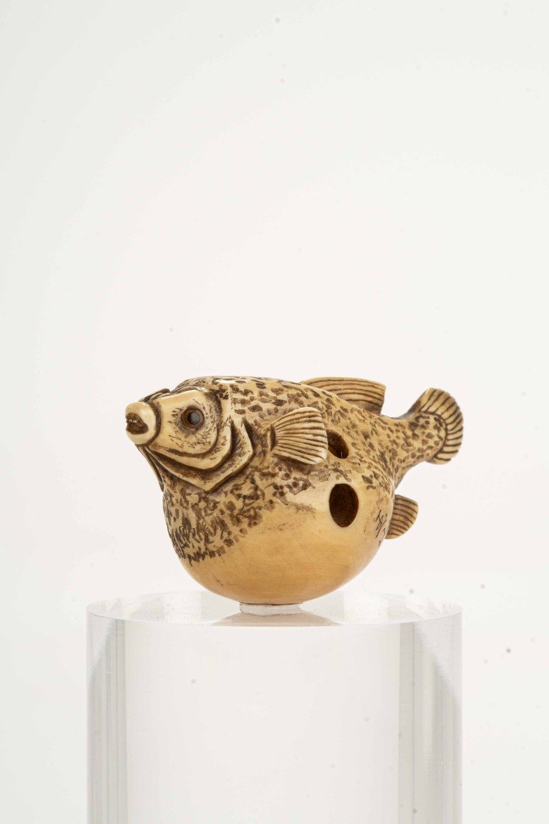 Netsuke in avorio raffigurante un pesce palla, firmato Gyokuzan