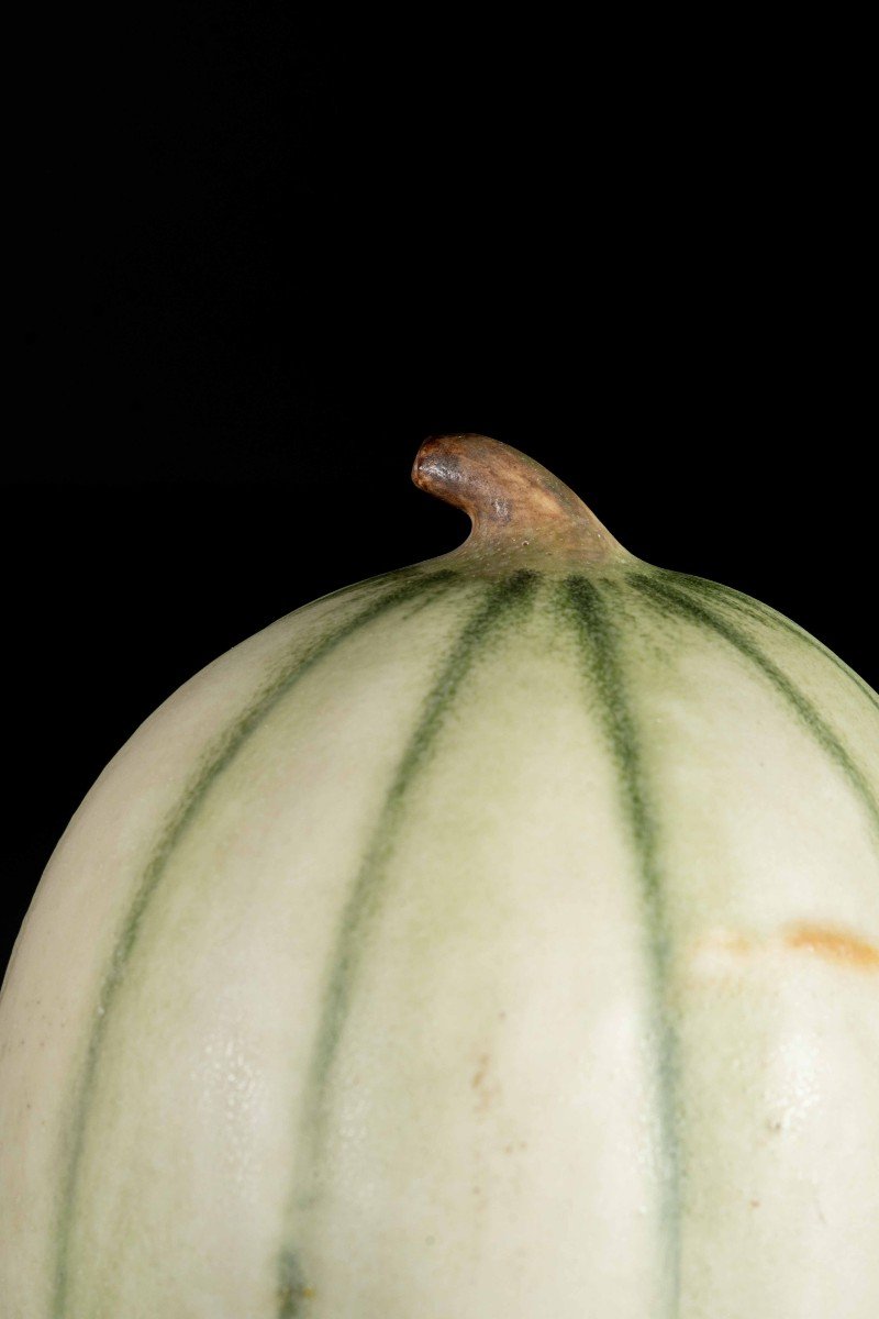 Studio di un melone in ceramica smaltata-photo-2