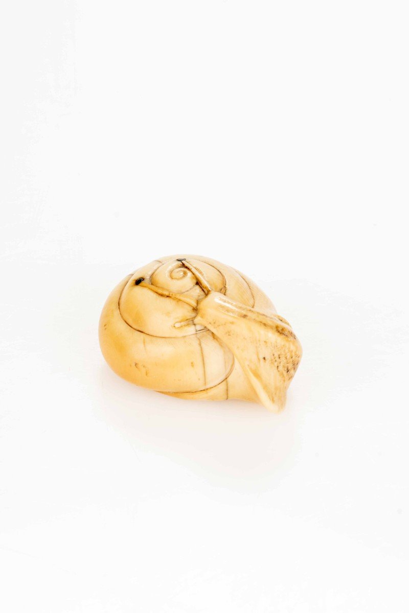 Netsuke in avorio raffigurante una chiocciola-photo-4