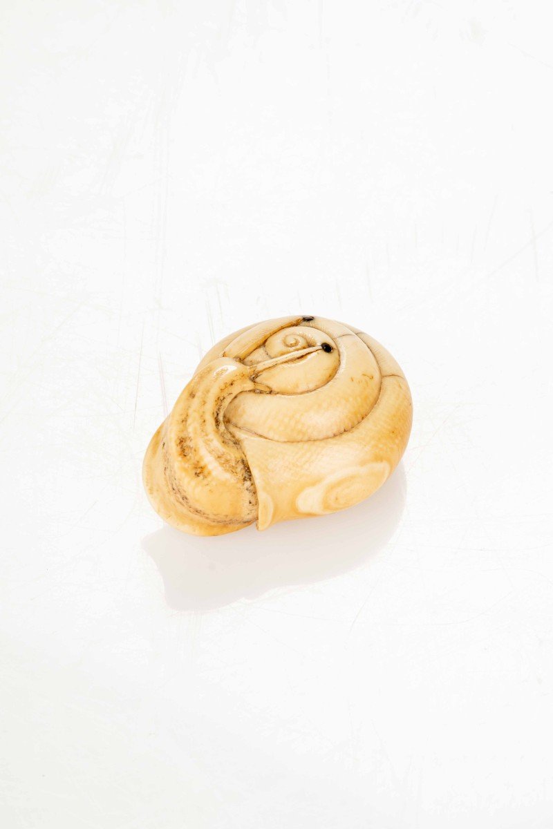 Netsuke in avorio raffigurante una chiocciola-photo-2