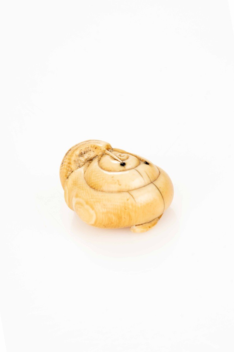 Netsuke in avorio raffigurante una chiocciola-photo-3