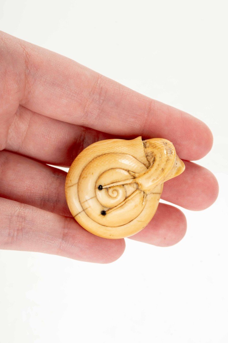 Netsuke in avorio raffigurante una chiocciola-photo-5