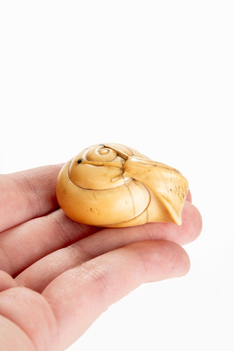 Netsuke in avorio raffigurante una chiocciola-photo-6