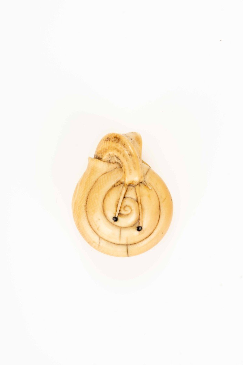 Netsuke in avorio raffigurante una chiocciola