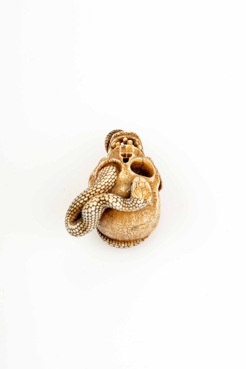 Netsuke in avorio raffigurante un serpente che attraversa un cranio-photo-3