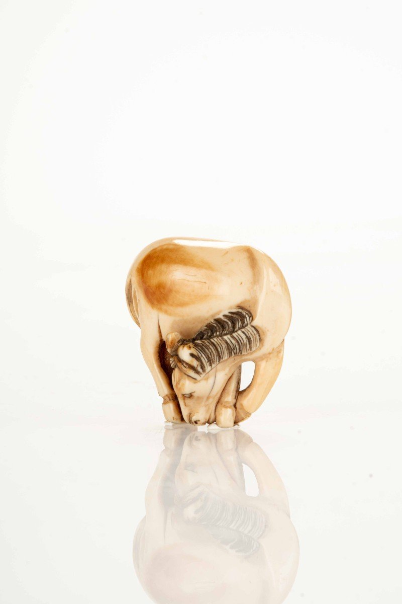 Netsuke giapponese in avorio raffigurante un cavallo-photo-2