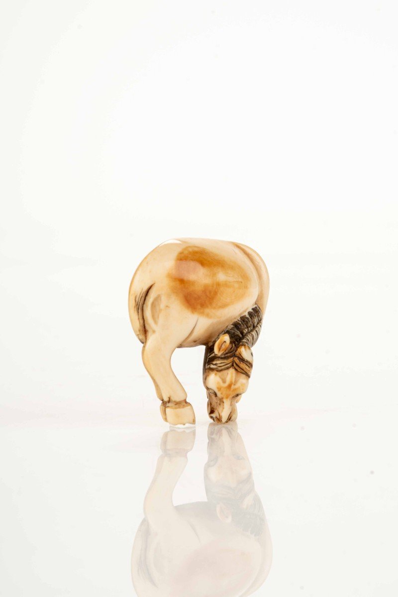 Netsuke giapponese in avorio raffigurante un cavallo-photo-4