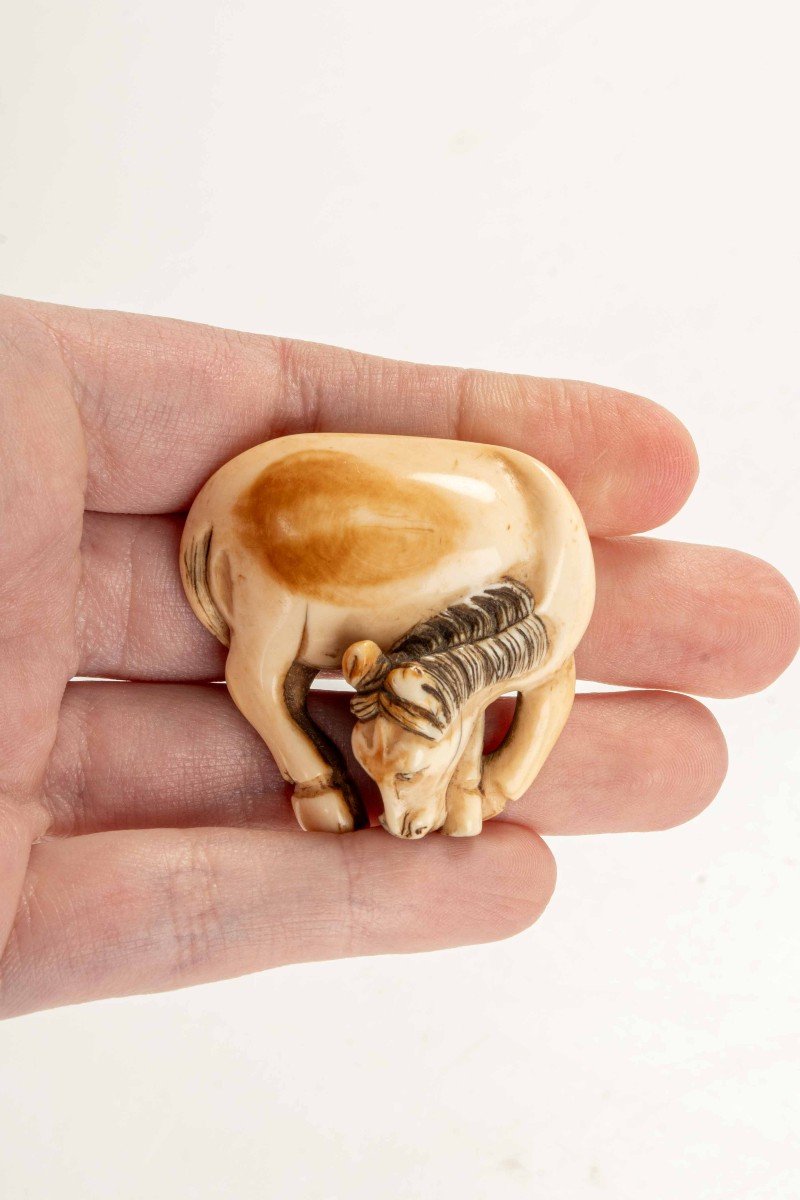 Netsuke giapponese in avorio raffigurante un cavallo-photo-2