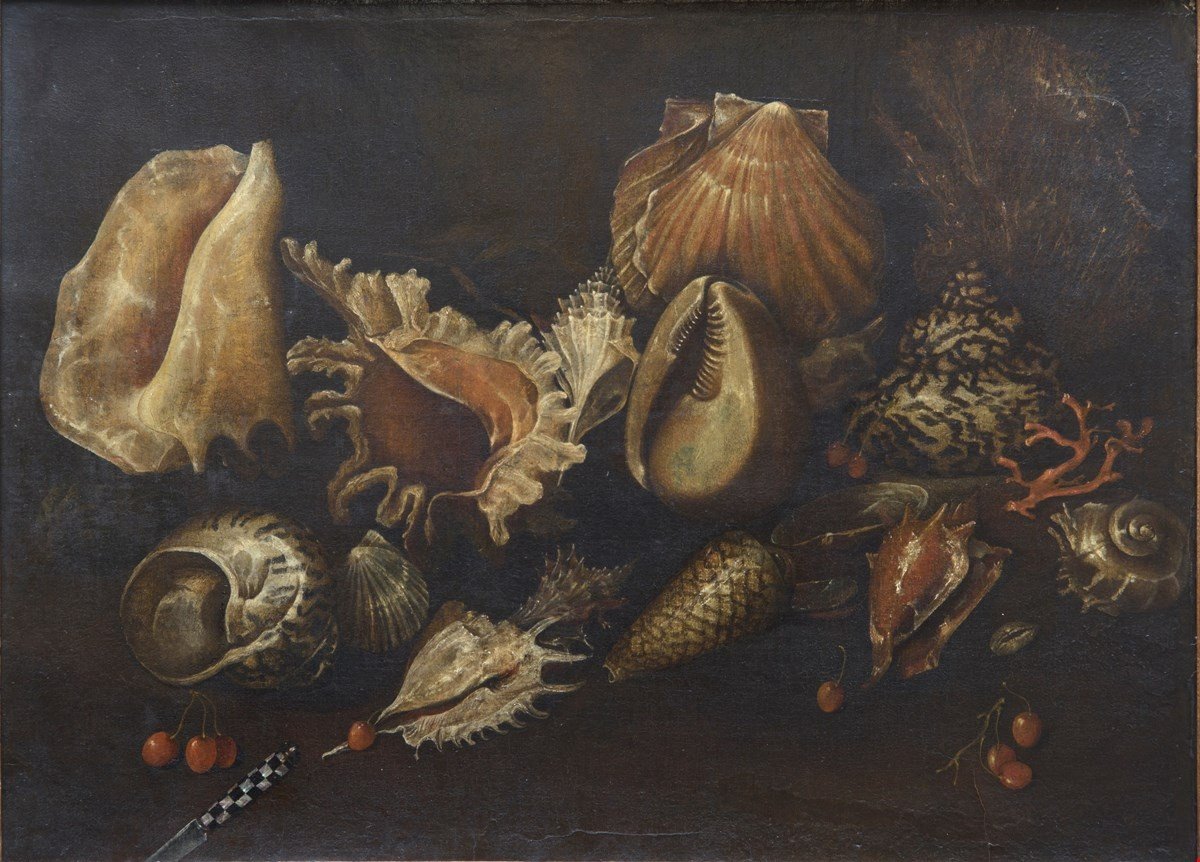 Paolo Porpora (1617 - 1673) - Natura Morta Con Conchiglie, Coralli, Ciliegie E Un Coltello-photo-2