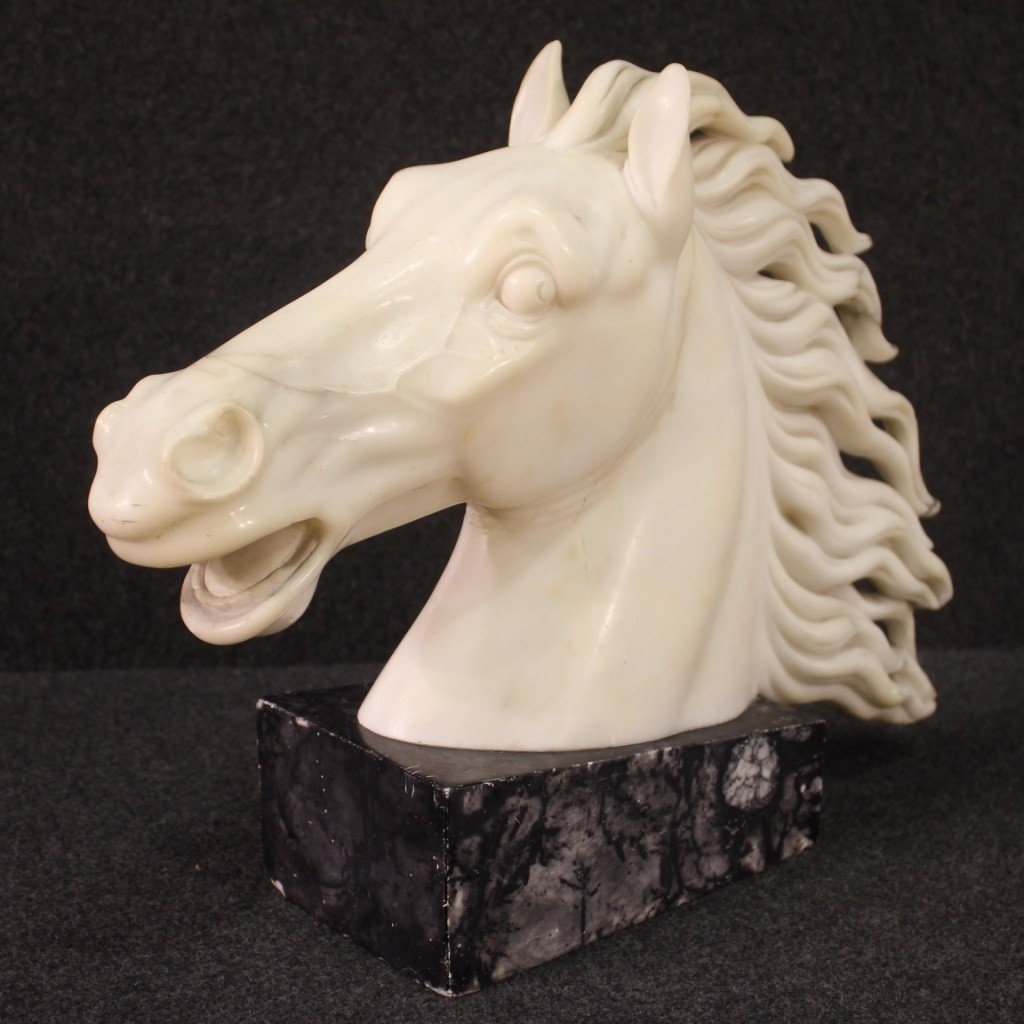 Scultura in marmo bianco testa di cavallo del XX secolo