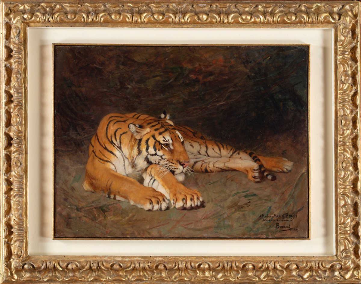 Dipinto di Gustave Surand (Parigi 1860 - 1937) raffigurante tigre a riposo