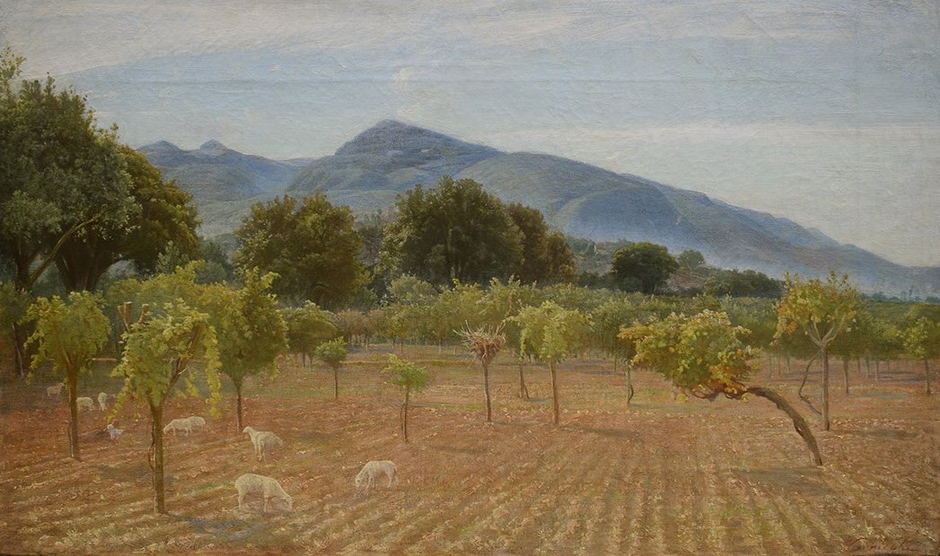 Gaetano Vannicola (Offida 1859 – Grottammare 1923), Campagna umbra