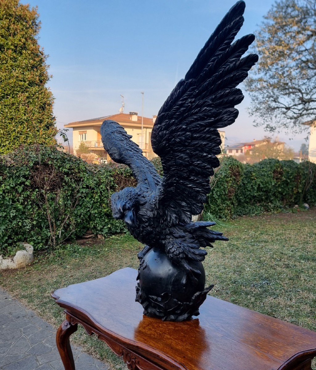 Aquila imperiale in legno dell’800 scultura di alta qualità-rarità-photo-3