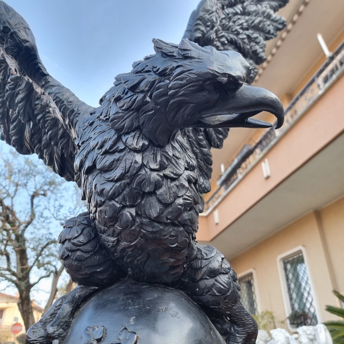 Aquila imperiale in legno dell’800 scultura di alta qualità-rarità-photo-5