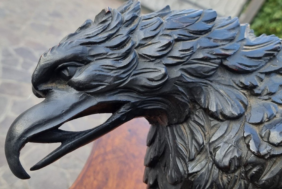 Aquila imperiale in legno dell’800 scultura di alta qualità-rarità-photo-7