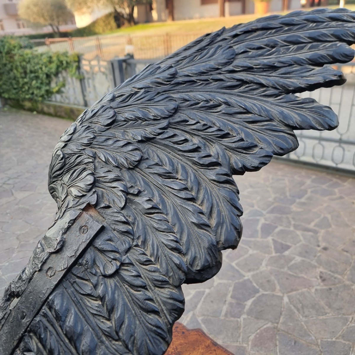 Aquila imperiale in legno dell’800 scultura di alta qualità-rarità-photo-8