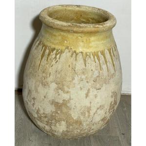 Proantic: Grande vaso da limone in terracotta Impruneta