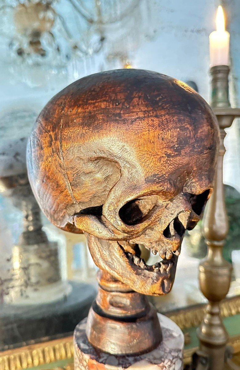 Scultura in legno di olmo raffigurante una bella Vanitas o “memento mori”.-photo-1