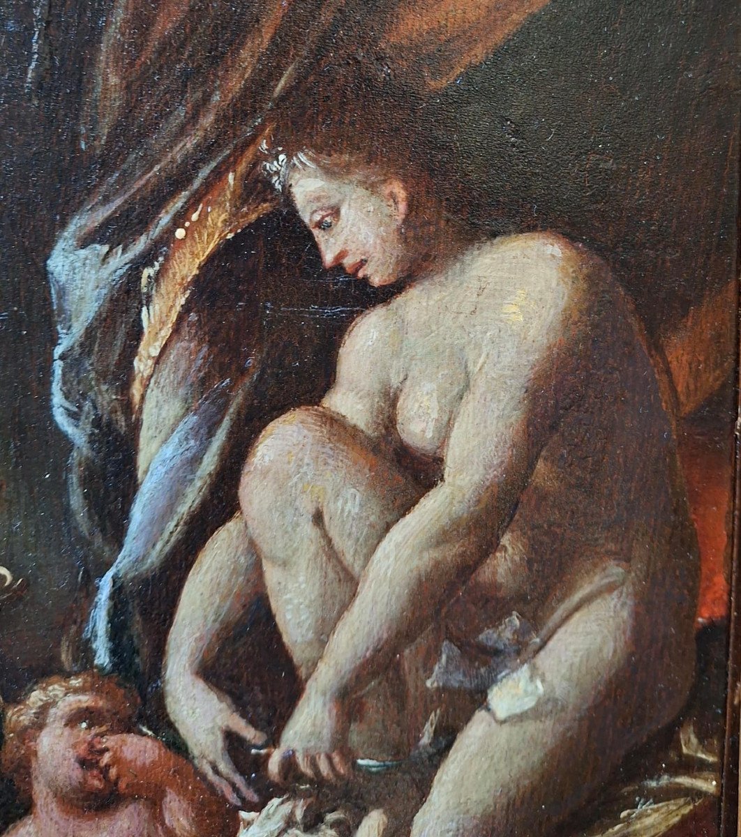 Venere, Cupido e Marte-photo-3